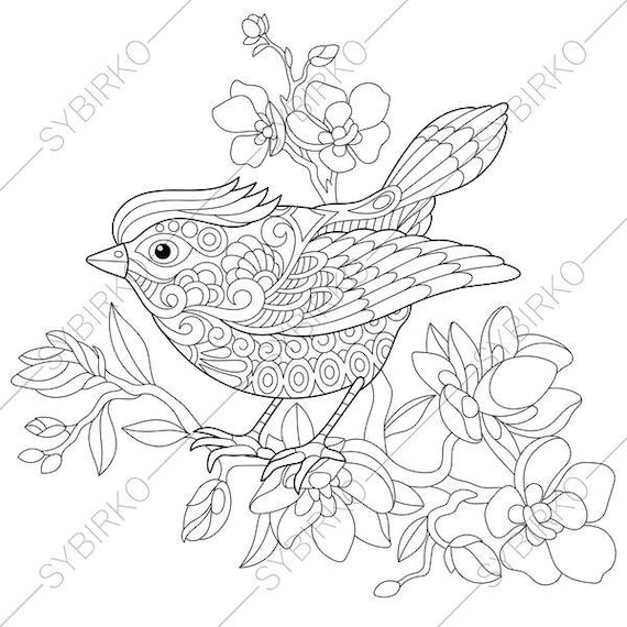 Spring Bird. Coloring Page. Animal coloring book pages for