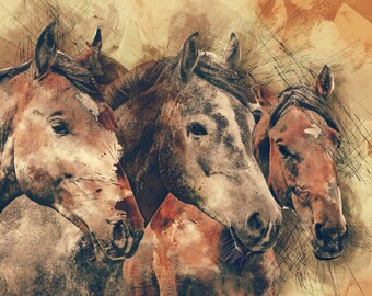 3 Horses, Animal Photography, All profits donated to TheirForeverHome.org