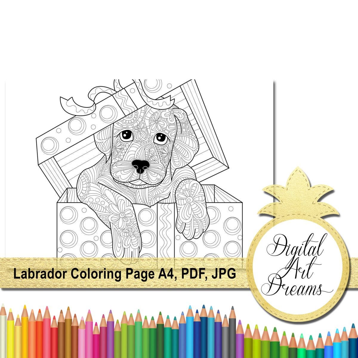 Labrador Retriever Coloring Page Dog Colouring Page