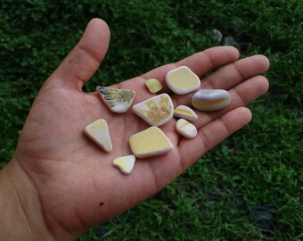 Sea Pottery - The Sunflower Collection
