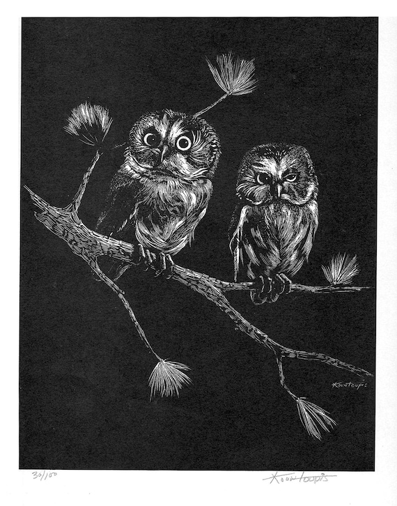 George Kontoupis Scratch board print 30/100 Northern Saw Whet Owls