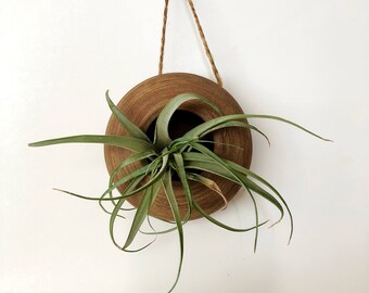Hand Crafted Ceramic Wall Planter