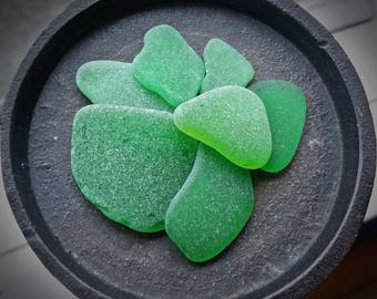 Kelly and Citron GREEN Genuine Flawless Sea-Tumbled Sea Glass Jewelry Grade Loose (7)