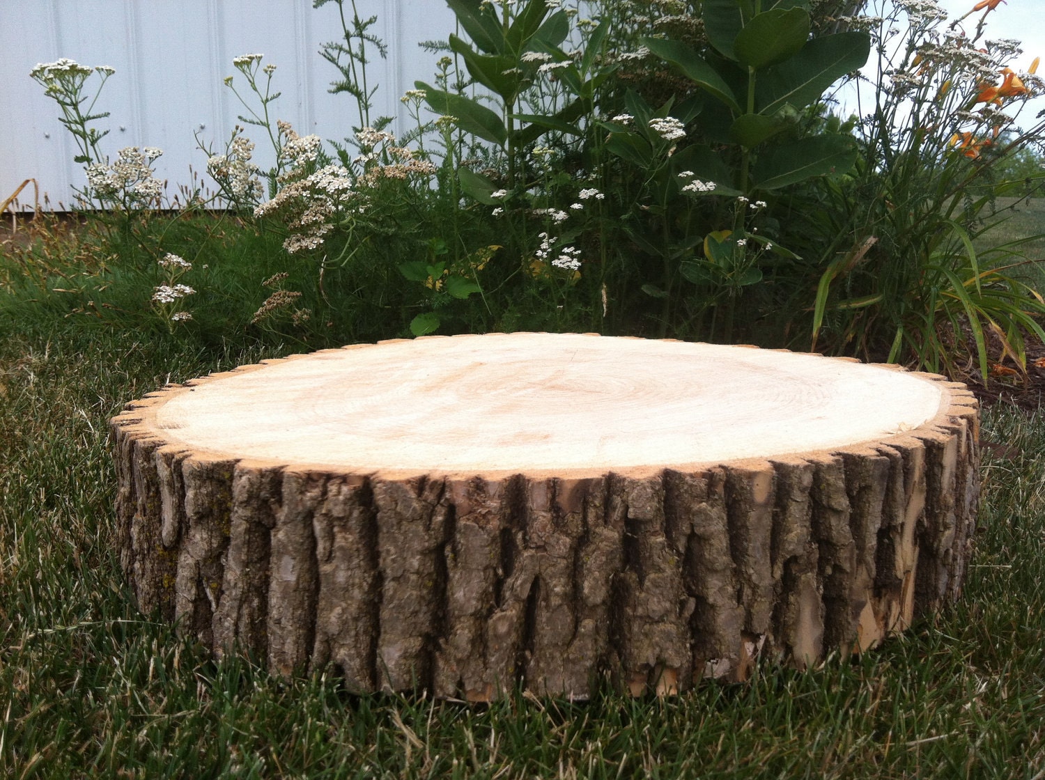 12 14 Rustic Wedding Cake Stand Decor Wood Tree Slice 12 14 Rustic Wedding Cake Stand Decor Wood Tree Slice