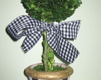 Preserved Boxwood Topiary