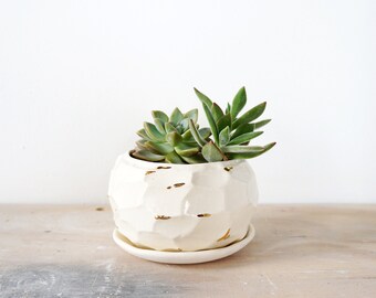 Faceted white and gold planter no. 5. The Object Enthusiast. Home decor planter. Ceramic planter. Gold ceramics. Indoor plants.