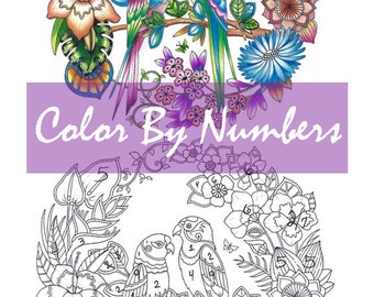 Magical Jungle Lovebirds Easy How To Color By Numbers With Prismacolor Lisa Brando Extreme Coloring