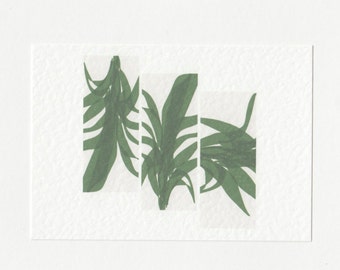 Palm Leaf Postcard // Minimalist Contemporary Art Modern Print A6