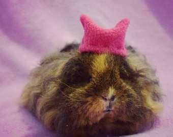 Guinea Pig Marches for Women Sticker