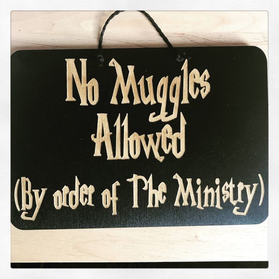 No Muggles Allowed Harry Potter Inspired Wooden Door/Wall