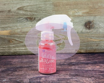 Color Bloom - Ginger Coral