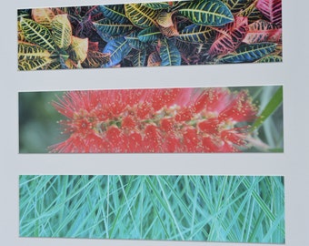 Abstract Panoramic Photographs Nature Fine Art Prints Matted