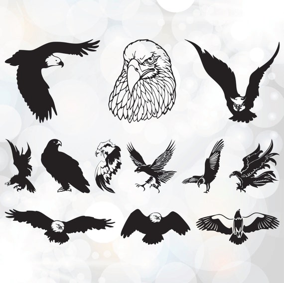 Download American Bald Eagle SVG file pack Eagles SVG File Cutting