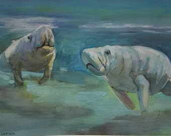 Manatees feeding original watercolor and Gouache painting