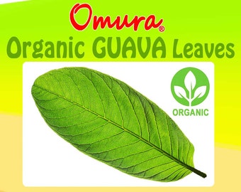 Omura ORGANIC GUAVA LEAVES