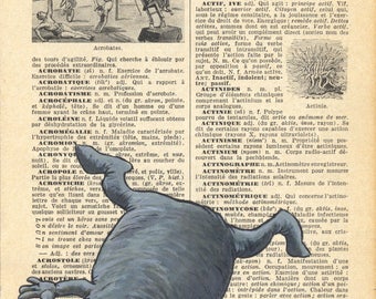 Acrobat on a dictionary page.