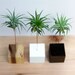 Palm Tree Wood Block // Air Plant Stand // Wood and Copper // Handmade