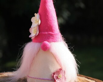 Anitra the Little Nordic Gnome