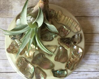 Lucite Abalone Shell Trivet Hot Plate - Iridescent Boho Beach Vibes