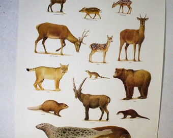 Poster species in France