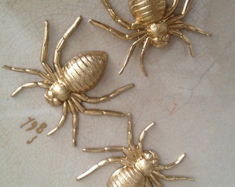 Victorian Specimen Spiders ( 2pc)
