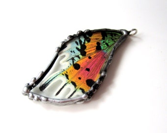 Madagascan Sunset Moth Pendant, Real Butterfly Jewelry
