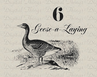 12 Twelve Days of Christmas Six Geese Laying Birds Printable Digital Download for Iron on Transfer Fabric Pillows Tea Towels DT1281