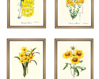 Yellow flowers print Set. Botanical Print Set. Any 4 YELLOW flower prints. Yellow Wall Art Set. Antique flower prints set. 8x10"