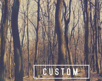 Add-On Painted Background
