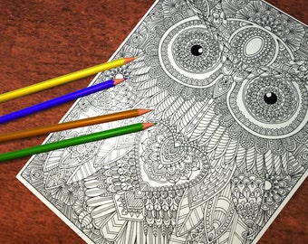 Owl 3 Detailed Colouring Page