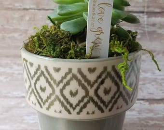 Let Love Grow Succulent Stake, Succulent Stake, Wedding Favor Plant Tag, Flag Tag, Plant Stake, Wedding Favor, Baby Shower, Plant (S13)