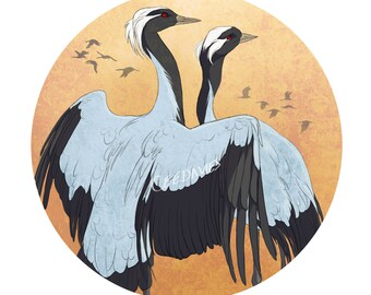 Demoiselle Crane Greetings Card
