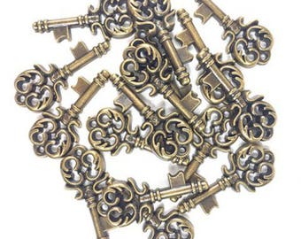 20 embellishments key - Steampunk - B1176811 embellishments