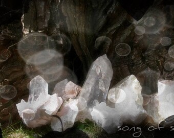 Crystal Consultation