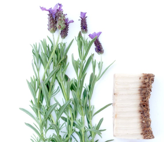 Lovely Lavender Goat's Milk Soap