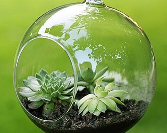 Mini terrarium glass ball 8 cm