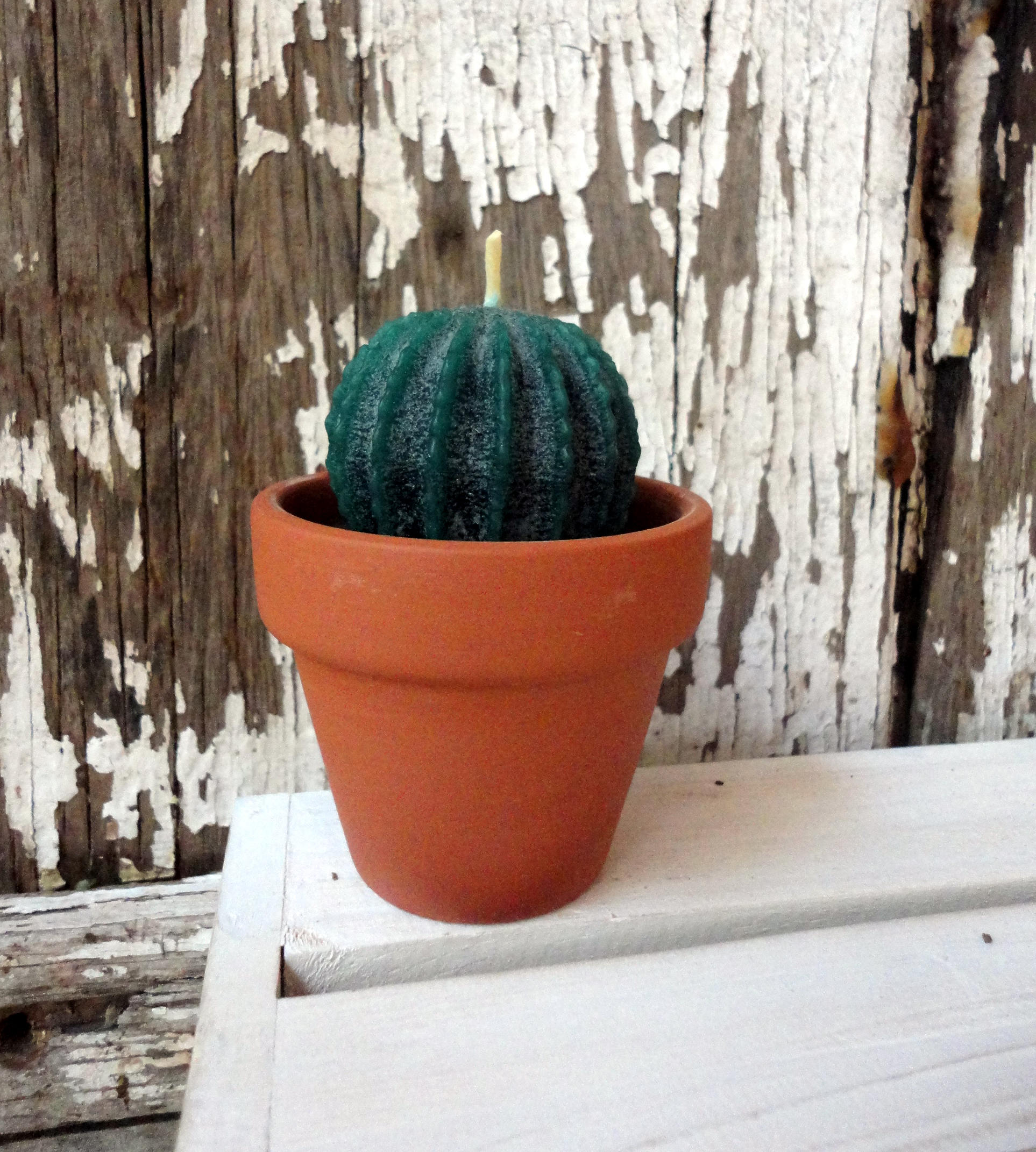 Cactus Candle in Clay Pot