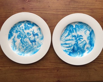 Hand painted Porcelain plates