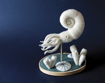 Print: Paleozoic Sea Creatures - Nautilus - needlefelting sculpture art toy specimen felt plush photo walldecor ocean biology HineMizushima