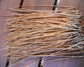 Pine Needles for Pine Needle Basket Making, Basket Weaving Supplies, Basketry Supplies, Crafting Supply