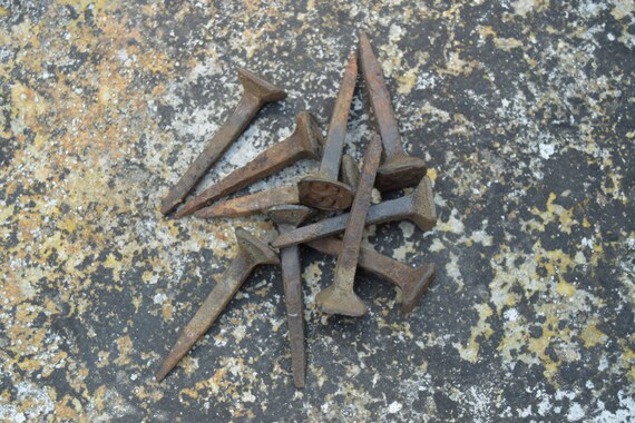 1955 Railroad Date Nail.