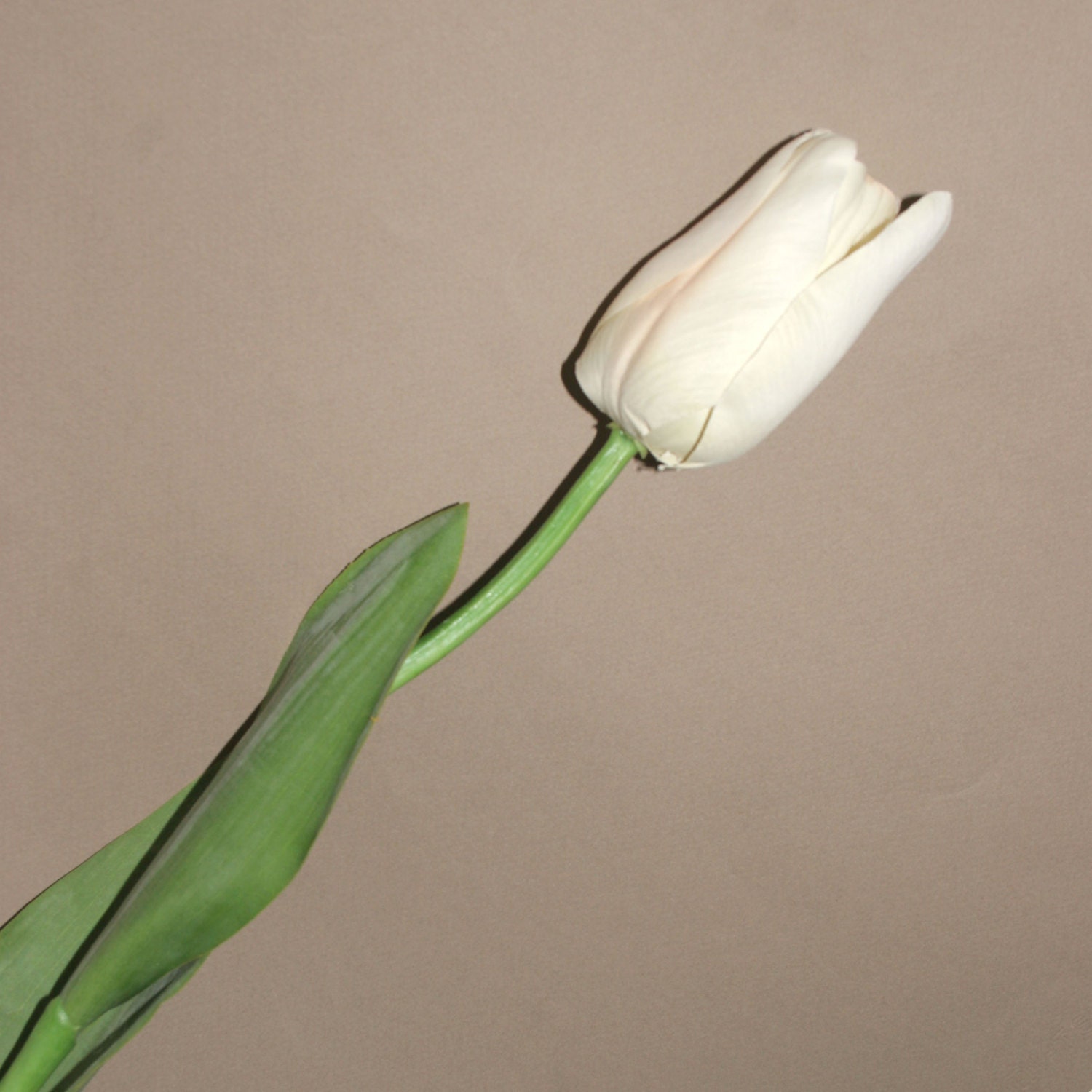 Cream Long Stem Tulip PREORDER Artificial Flowers Silk