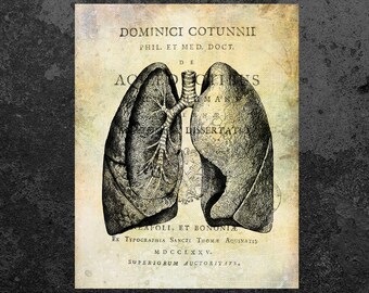 Lungs Print Anatomy Vintage Art Anatomy Book Page Aged Anatomy Poster Scientific Illustration Medical Wall Decor Doctor Gift Clinic Decor