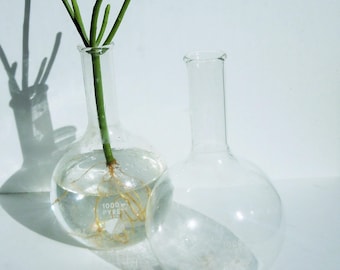 Science Glass / 1000ml Vintage Beakers / Pyrex Laboratory Glass / Great Scientific Decor and Style