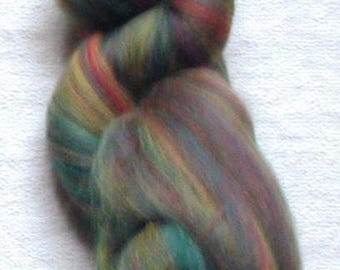 Merino Wool Roving, combed top, Laurel Multi Color Fiber for Spinning or Felting, commercially dyed.