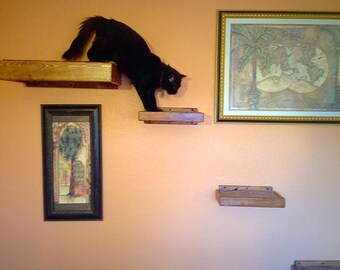 Set of Five | Four Floating Cat Shelves | One Floating Cat Bed | Cat Shelves | Cat Perch | Reclaimed Wood Shelves | Cat Furniture