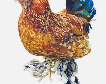 Turquoise Red Brahma Rooster