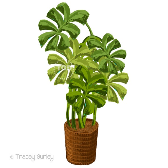 Tropical plant clip art Philodendron painting Original Art