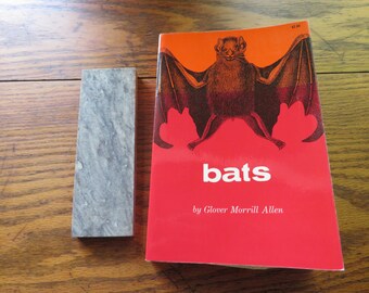 Bats by Glover Morrill Allen Dover Publications inc. 1962