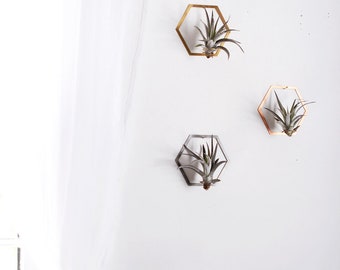 Hexagon Frame Air Plant Wall Holder | Air Plant Holder | Air Plant Hanger | Air Plant Planter | Airplant Holder | Airplant Hanger | Display